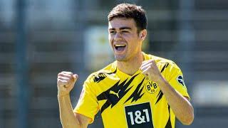 Giovanni Reyna 2020 |Goals|Skills|USMNT|Dortmund|HD