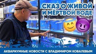 Аквариумные новости с Владимиром Ковалевым (12.04.2024). Сказ о живой и мёртвой воде  