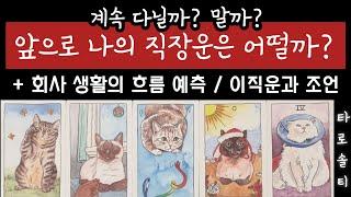 [타로카드/직장운] 앞으로 나의 직장운은 어떨까? 지금 회사 계속 다닐까? 말까? (+ 향후 직장 생활의 흐름과 조언 / 이직운 or 퇴직운)