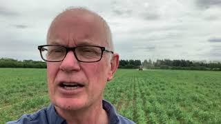 NFU Organic Forum chairman John Pawsey invites members to a virtual farm walk