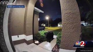 Wild viral video shows black bear chasing Apopka couple and their dog