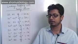 Linkage mapping problem three point cross | CSIR NET analytical practice problems in part c