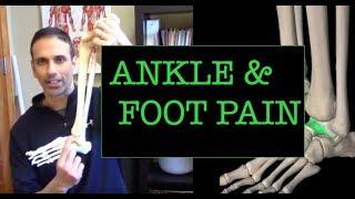 Ankle & Foot Pain: Mobilize your talus and fibula
