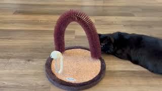 Happy N Pets Self Grooming Cat Arch   Why My Cats LOVE It