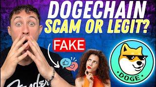 DOGECHAIN Meme Coin | One Big SCAM? DogeCoin Holders Be Warned