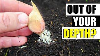 Garlic Planting Depth and Mulch Thickness Garden Quickie Episode 223