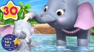 5 Elephants Having A Wash | +30 Minutes of Nursery Rhymes | Learn With LBB | #howto