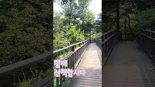 함께 산책 할 사람 #Shorts