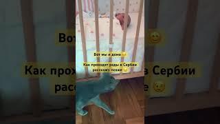 Кошка изучает новорожденного / роды в Сербии