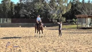 Eventer Exercise 3 -  Simple Four Leaf Clover (preview)