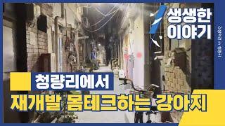 재개발 몸테크 in 청량리 [견생로그 #2]