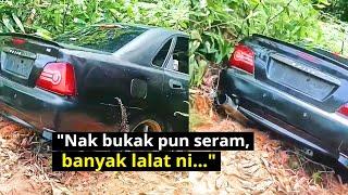 Video Tular Penemuan Kereta Dihurung Lalat Di Johor