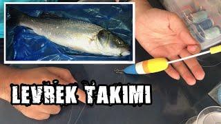 How to make a perch fishing rod? Live shrimp Bait