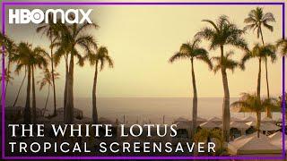 The White Lotus | Spend a Week at The White Lotus | HBO Max