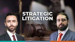 Strategic litigation and the rule of law | David Ansara & Mark Oppenheimer