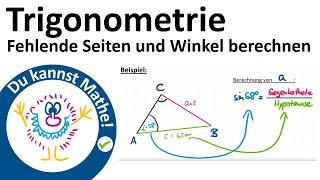 Fehlende Seiten und Winkel im rechtwinkligen Dreieck berechnen, Trigonometrie #6, Sinus, Kosinus