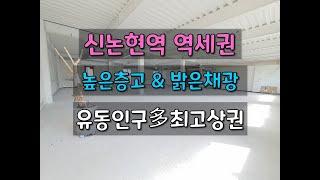 [논현동 사무실임대 / 채광좋은 강남 사무실임대 / 테라스사무실 / 신논현역 50평대]