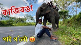 হাতী লৈ কাজিৰঙা পাই গ’লোঁ • Day 7 : Journey with Elephants to Kaziranga 2023 - PART 1