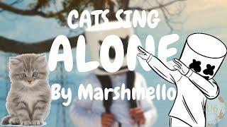 Cats Sing Alone by Marshmello | Cats Singing Song