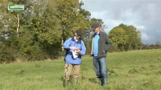 First Steps to Planting your new Forest