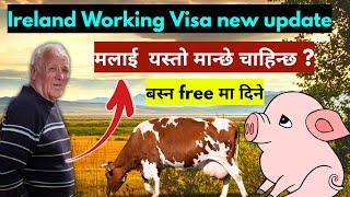 ireland working visa for nepali | how to apply ireland work visa from nepal | ireland kasari jane