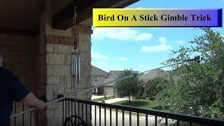 Bird On A Stick Gimbal Trick