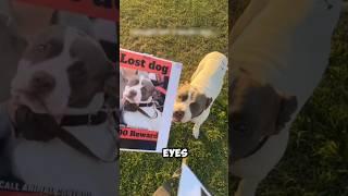 He Returned the Dog… Then This Happened 