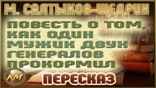 Повесть о том, как один мужик двух генералов прокормил. Михаил Салтыков-Щедрин