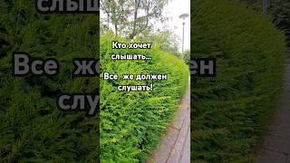 Кто хочет слышать #стихиожизни #стихиолюбви #поэзия #стихи #music #стих #cover #рецепт #еда