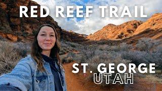 Hiking Cottonwood Canyon Trail in Red Rock Conservation Area St. George Utah