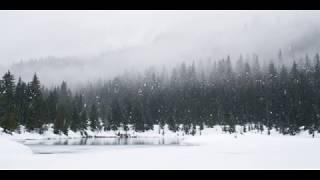 "I Had To Get Out Of There!" - Bigfoot Follows Boy Outside Of Cave Junction, Oregon