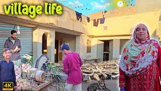 Village Living InWinter In City Lifestyle | Pure Village Lifestyle | Traditional life | 4K