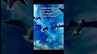 Узнайте секрет, как преодолеть трудности.