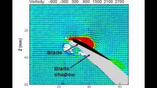 Particle Image Velocimetry (PIV) Measurements on a Cycloidal Rotor -- Moble Benedict