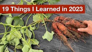 19 Things I Learned In 2023