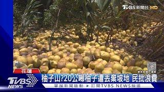 柚子山?20公噸柚子遭丟棄坡地 民批浪費｜TVBS新聞 @TVBSNEWS01