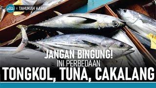 Serupa Tapi Tak Sama! Ini Perbedaan Ikan Tongkol, Tuna dan Cakalang | Hidup Sehat tvOne