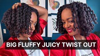 JUICY TWIST OUT RESULTS   | All Black Owned Products