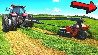 Mowing Alfalfa Orchard Grass Hay (2020)