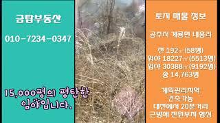 공주시 계룡면 내흥리 토지 매물정보