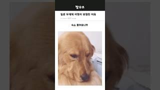 일본시골 무계획여행은 절대 가지마라