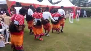 Buganda dance grolious cultural dances