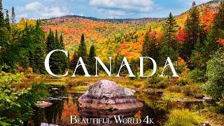 Beautiful Autumn Colors Canada 4K - Fall Relaxation Film - Relaxing Piano Music