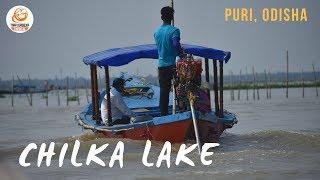 Chilka Lake in Puri | Odisha | Chilka Jheel | Chilka Lake Bird Sanctuary | Chilika Jewel Of Odisha