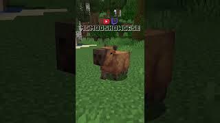 MINECRAFT Mod Combinations That Work Perfectly Together  #minecraftmod mcmodshowcase