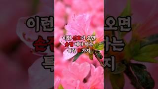 이런 신호가 오면 그 관계는 반드시 끊어야 하는 특징 8가지 #현실조언 #명언 #삶의지혜 #인생지혜