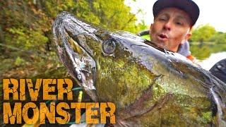 Giant River Musky!! - Secluded Spot