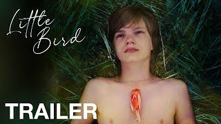 LITTLE BIRD - Trailer - NQV Media