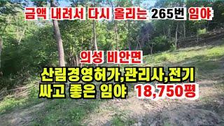 265-1번  가격내려서 다시올리는 임야입니다. 싸고 좋은 의성군 비안면 임야 #임야 #산 #땅