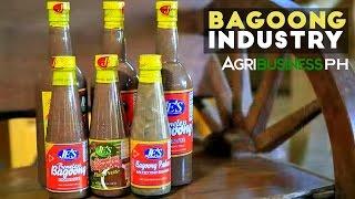 Lingayen Bagoong : Bagoong Industry in the Philippines | Agribusiness Philippines